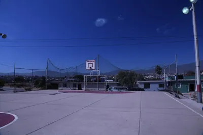 DSC_2091 (Large).JPG